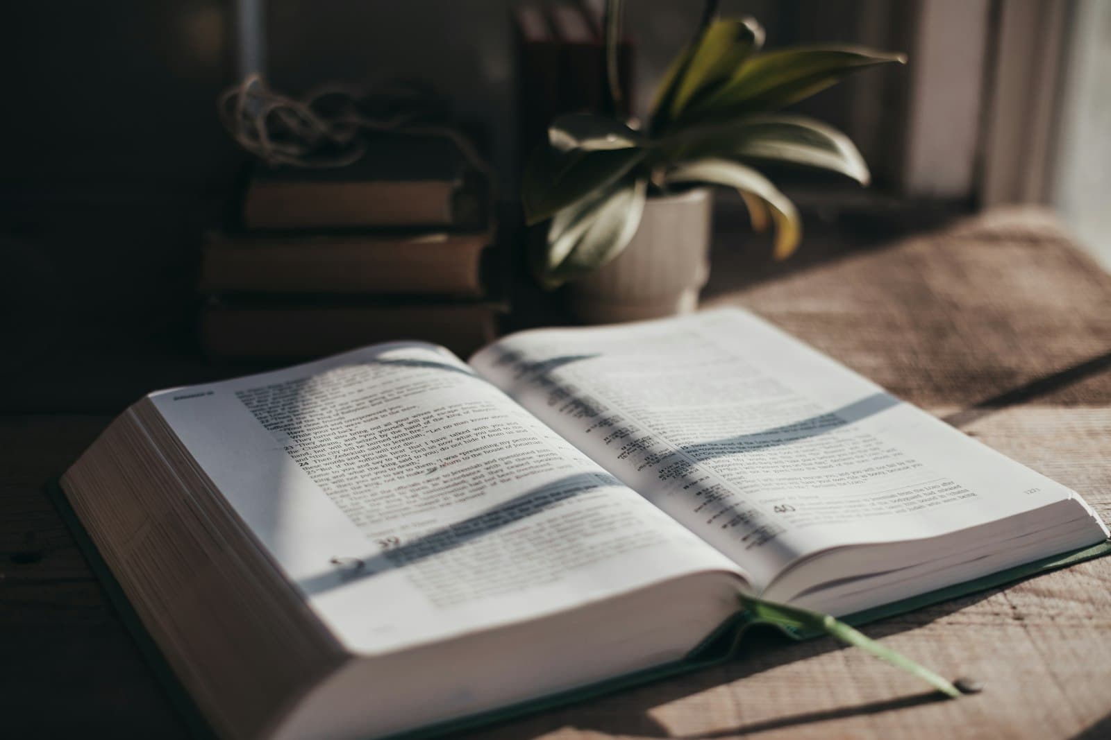 Open Bible on a wooden table in morning light, with a potted plant behind it