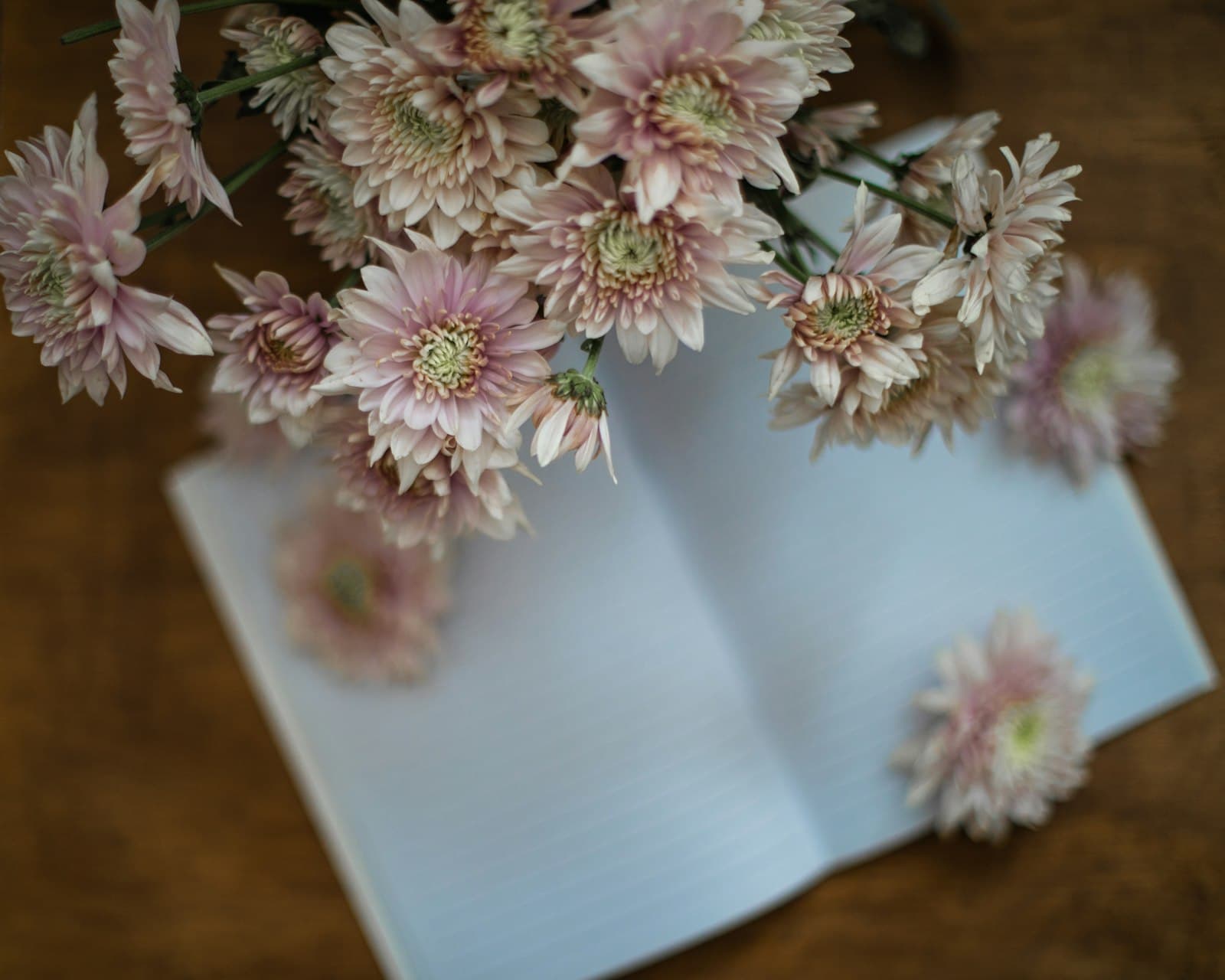 Pink flowers lying on an open notebook