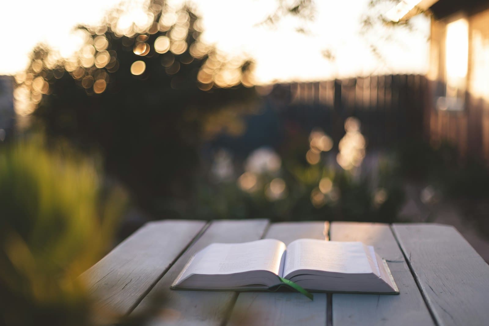 Open Bible on a white outdoor table at sunset, with warm lights blurred behind